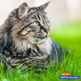 Hartz UltraGuard Plus Drops for Cats Over 5 Pounds, 3 count-032700108441-LR-191647-8-LR eShop