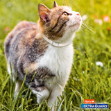 Hartz UltraGuard Plus Flea & Tick Collar for Cats and Kittens-032700942687-LR-190140-8-LR eShop
