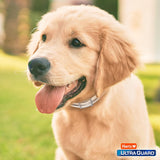 Hartz UltraGuard Pro Reflective Flea & Tick Collar for Dogs and Puppies-032700155933-LR-330512-8-LR eShop