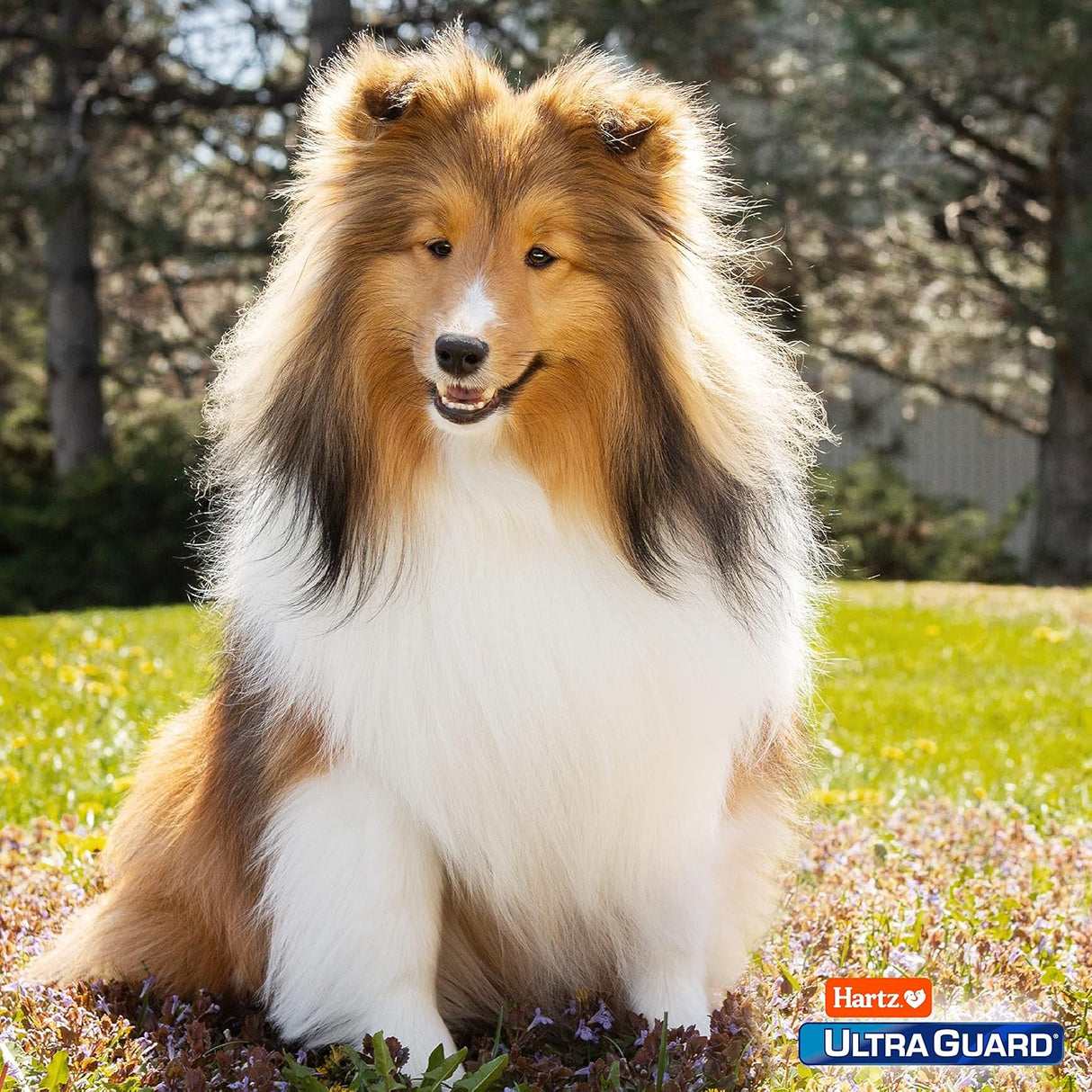 Hartz UltraGuard Pro Topical Flea & Tick Prevention for Dogs and Puppies - 61-150 lbs, 3 Monthly Treatments-032700108786-LR-189868-9-LR eShop