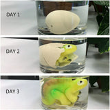 Ja-Ru Magic Grow Dino Egg, Assorted-075656003125-LR-187515-3-LR eShop