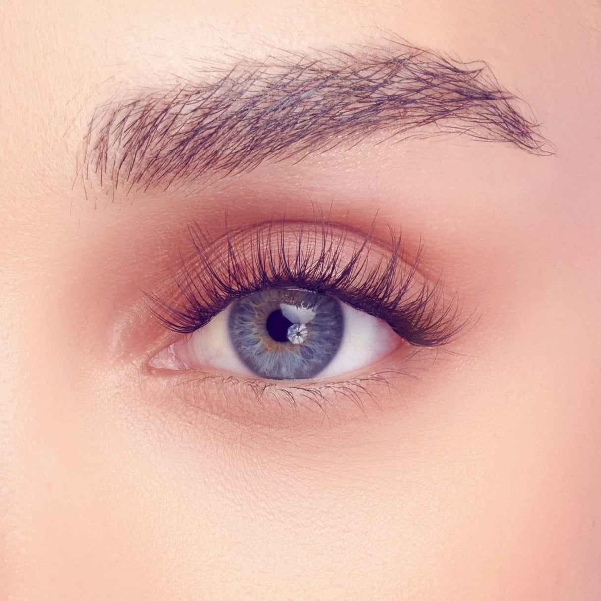 KISS FALSCARA Studio Lash Extension Starter Kit - Delicate-731509944228-LR-356498-4-LR eShop