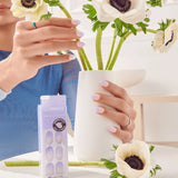 KISS ImPRESS Color Ombre Press on Nails - Friendzone-731509947120-LR-356504-4-LR eShop