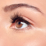 KISS imPress Press On False Lash Kit - Classic Wispy, 36 clusters-731509234411-LR-360018-5-LR eShop