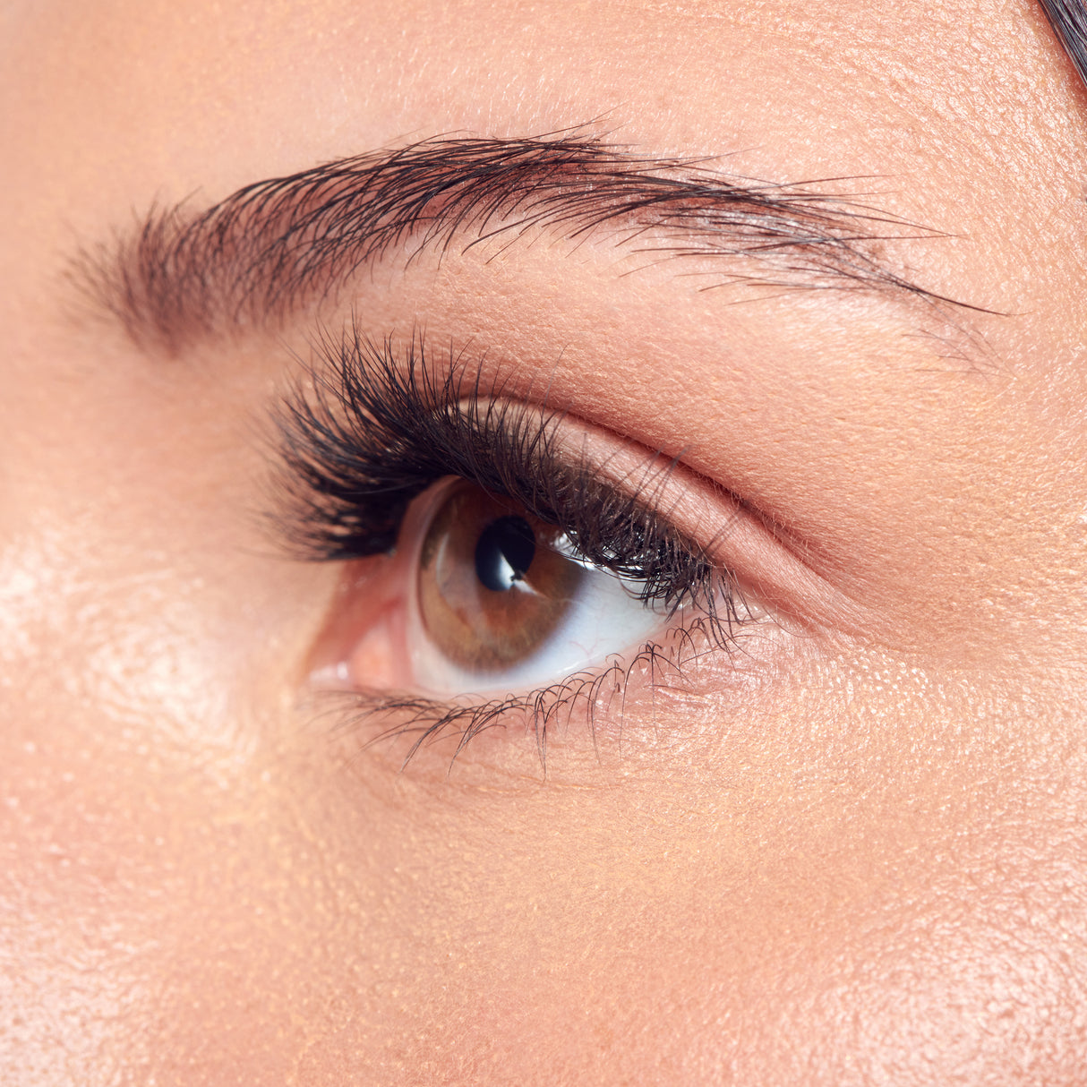 KISS imPress Press On False Lash Kit - Faux Mink Volume, 36 clusters-731509234428-LR-360019-5-LR eShop