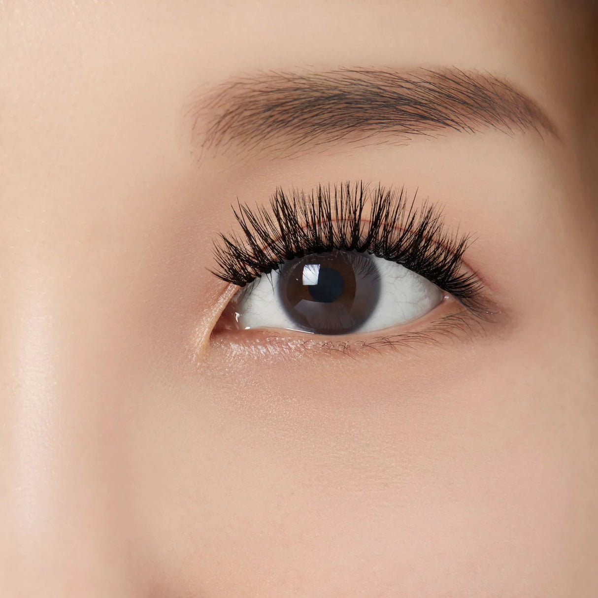 KISS Lash Couture LuXtensions Lashes - Volume Full Set, 4 count-731509870138-LR-342698-4-LR eShop