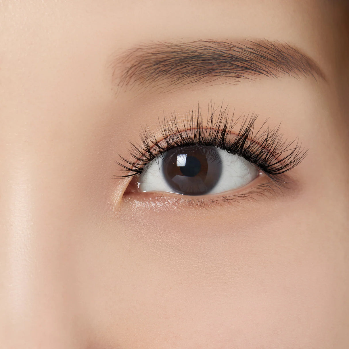KISS My Lash but Better 4-Pair Multipack - Bare Affair-731509881806-LR-357293-4-LR eShop