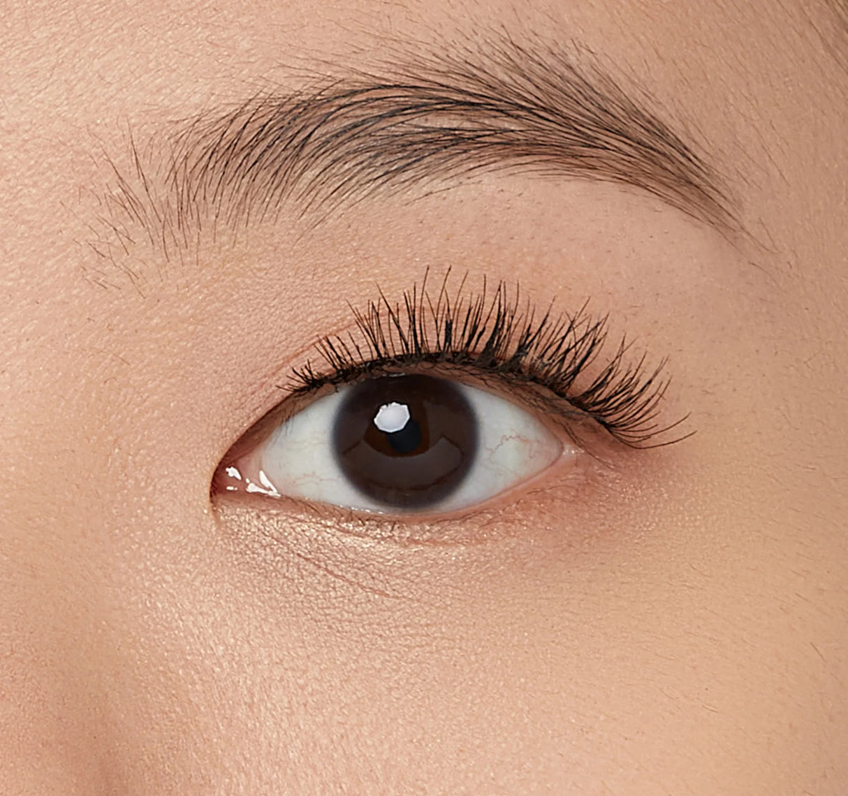 KISS My Lash But Better Everyday Lash - So Real, 4 count-731509881783-LR-346863-4-LR eShop