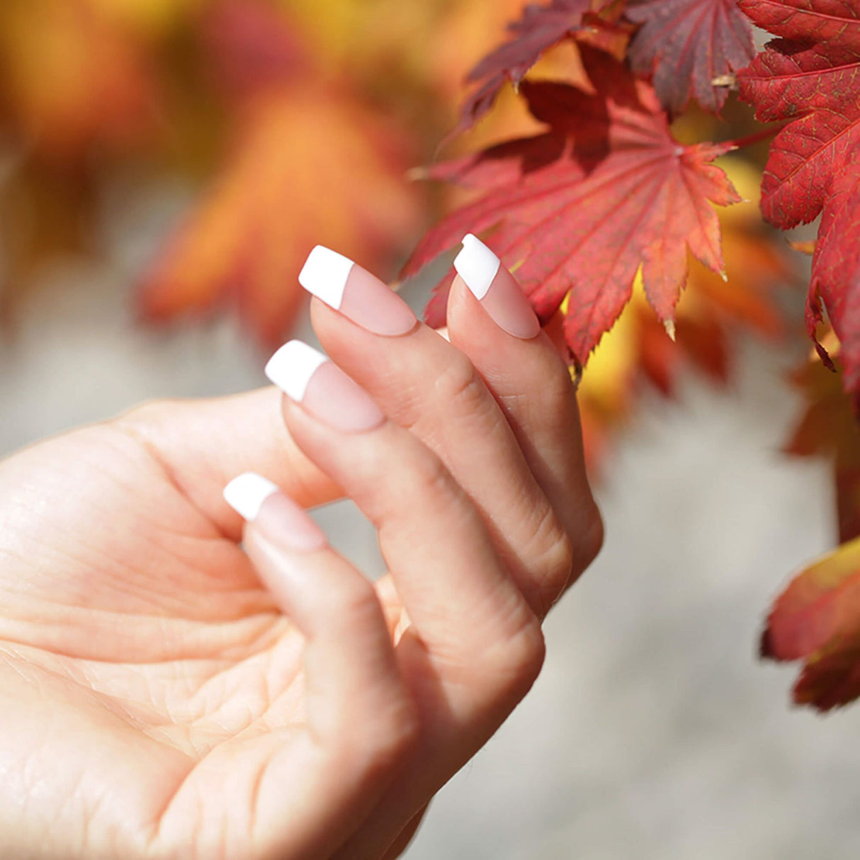 KISS Rumor Mill Salon Acrylic French Nails-731509622874-LR-322609-2-LR eShop