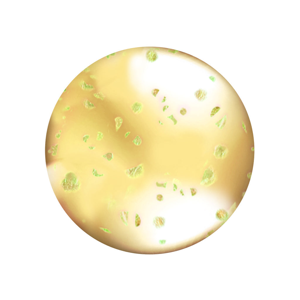 L.A. COLORS Nourishing Lip Oil - CLG442 Hunnybun-081555784423-LR-335165-2-LR eShop