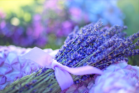 lavenders-2482374_1920-L&amp;R eShop