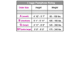 L'eggs Sheer Energy Medium Support Control Top Sheer Toe - Suntan, Size B-074200609233-LR-113027-5-LR eShop