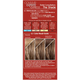 L'ORÉAL PARIS Couleur Experte 2-Step Home Hair Color and Highlights Kit - 6.1 French Éclair-071249200728-LR-361723-9-LR eShop