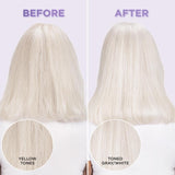 L'ORÉAL PARIS EverPure Sulfate Free Purple Conditioner for Colored Hair, Travel Size, 2.5 fl. oz.-071249685242-LR-358713-3-LR eShop