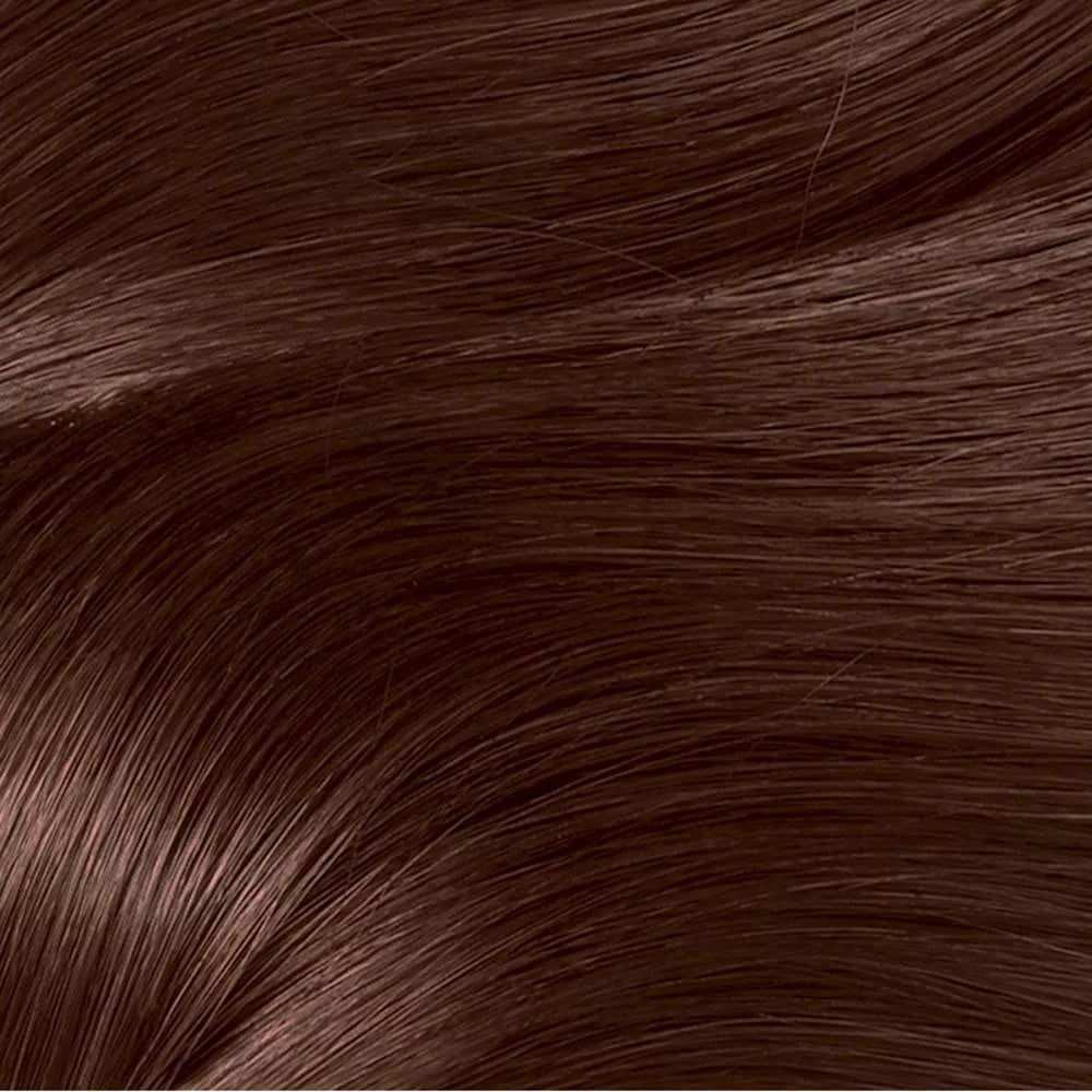 L'ORÉAL PARIS Excellence Triple Protection Permanent Hair Color - 4AR Dark Chocolate Brown-071249121450-LR-361715-2-LR eShop