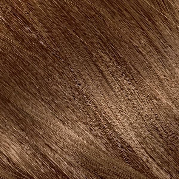 L'ORÉAL PARIS Excellence Triple Protection Permanent Hair Color, 6G Light Golden Brown, 6.3 fl. oz.-071249210611-LR-229802-2-LR eShop