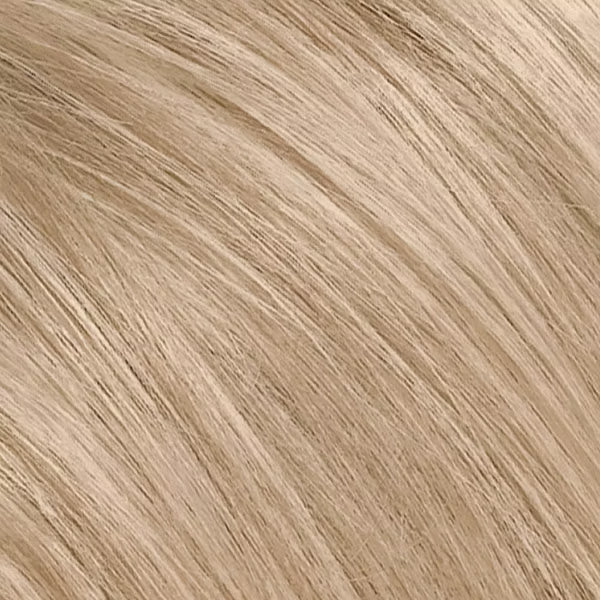 L'ORÉAL PARIS Excellence Triple Protection Permanent Hair Color, 8.5A Champagne Blonde, 6.3 fl. oz.-071249210741-LR-223445-2-LR eShop