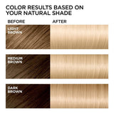 L'ORÉAL PARIS Feria Multi-Faceted Shimmering Permanent Hair Color - 11.21 Bad to the Blonde-071249315408-LR-361746-3-LR eShop