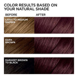 L'ORÉAL PARIS Feria Multi-Faceted Shimmering Permanent Hair Color - 36 Chocolate Cherry-071249230039-LR-361730-3-LR eShop