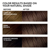 L'ORÉAL PARIS Feria Multi-Faceted Shimmering Permanent Hair Color - 40 Espresso-071249230046-LR-361731-3-LR eShop