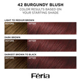 L'ORÉAL PARIS Feria Multi-Faceted Shimmering Permanent Hair Color - 42 Burgundy Blush-071249682432-LR-361781-3-LR eShop
