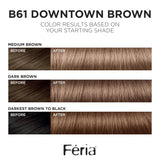 L'ORÉAL PARIS Feria Multi-Faceted Shimmering Permanent Hair Color - B61 Downtown Brown-071249218631-LR-361727-3-LR eShop