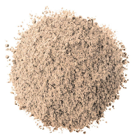 L'ORÉAL PARIS Infallible 24 Hour Waterproof Eye Shadow, 888 Iced Latte, 0.12 oz.-071249199213-LR-221802-2-LR eShop