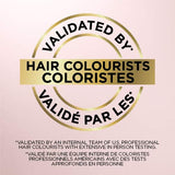 L'ORÉAL PARIS Le Color One Step Toning Hair Gloss - Honey Blonde, 4 oz-071249409848-LR-361829-6-LR eShop