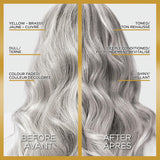 L'ORÉAL PARIS Le Color One Step Toning Hair Gloss - Silver, 4 oz-071249629581-LR-361827-2-LR eShop