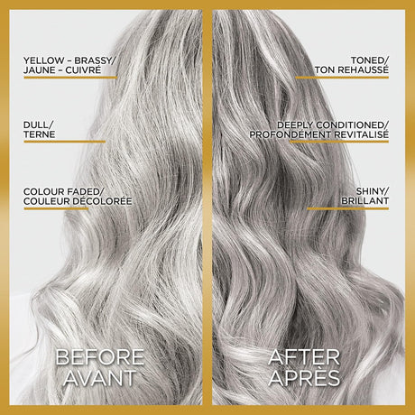 L'ORÉAL PARIS Le Color One Step Toning Hair Gloss - Silver, 4 oz-071249629581-LR-361827-2-LR eShop