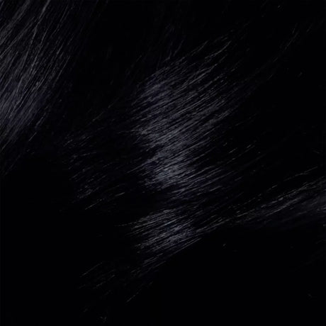 L'ORÉAL PARIS Superior Preference Fade-Defying Color + Shine System - 1 Ultimate Black-071249154946-LR-361716-2-LR eShop