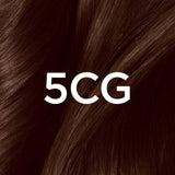 L'ORÉAL PARIS Superior Preference Fade-Defying Color + Shine System - 5CG Iced Golden Brown-071249241004-LR-361734-8-LR eShop
