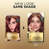 L'ORÉAL PARIS Superior Preference Fade-Defying Color + Shine System - 5MB Medium Auburn-071249253090-LR-224025-2-LR eShop