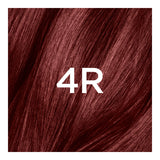 L'ORÉAL PARIS Superior Preference Permanent Hair Color, 4R Dark Auburn, 6.5 fl. oz.-071249253052-LR-251833-2-LR eShop
