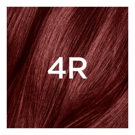 L'ORÉAL PARIS Superior Preference Permanent Hair Color, 4R Dark Auburn, 6.5 fl. oz.-071249253052-LR-251833-2-LR eShop