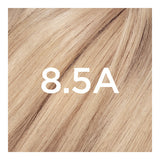 L'ORÉAL PARIS Superior Preference Permanent Hair Color, 8.5A Champagne Blonde, 6.5 fl. oz.-071249253236-LR-229819-2-LR eShop