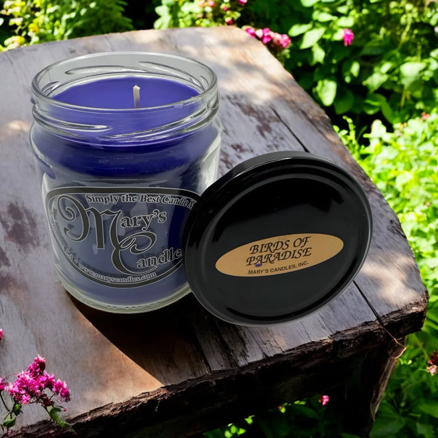Mary's Candles Bird of Paradise Jar-701224130893-LR-275410-1-LR eShop