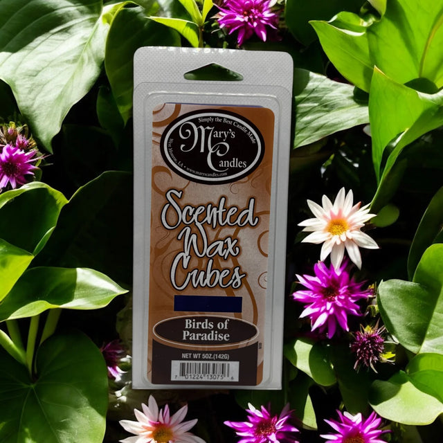 Mary's Candles Bird of Paradise Wax Cubes-701224131043-LR-308078-1-LR eShop
