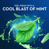 Oral-B Burst of Scope Dental Floss Picks, Fresh Mint, 30 ct-300410107932-LR-363678-7-LR eShop