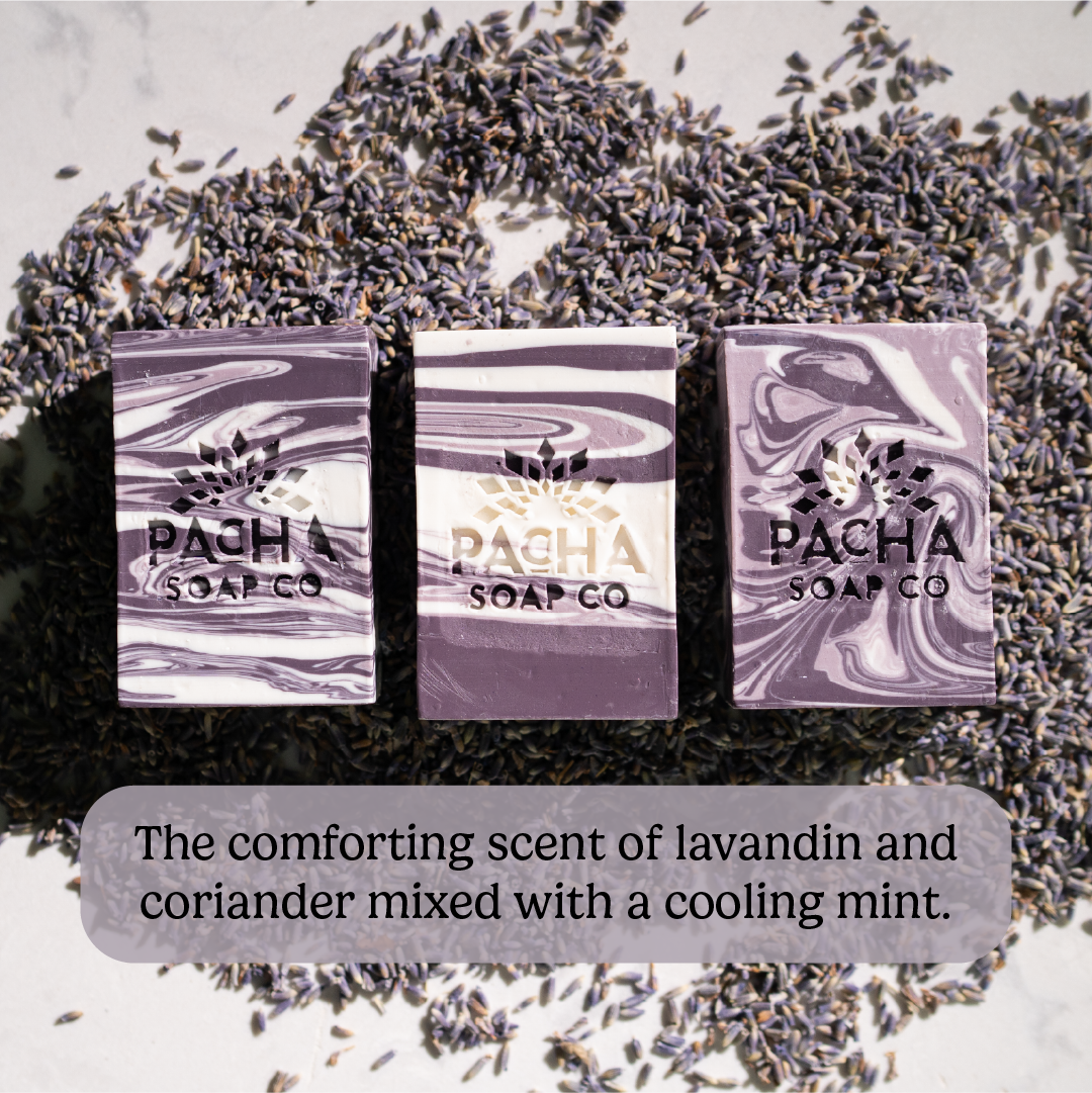 Pacha Soap Co. Bar Soap - French Lavender, 4 oz-840045303984-LR-351047-3-LR eShop