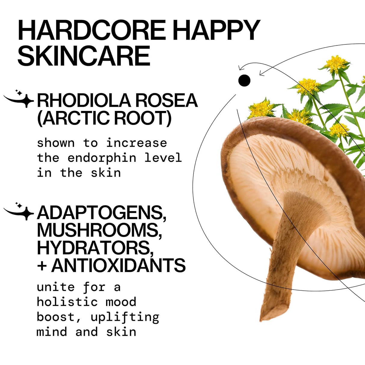 Pacifica Happy Water Hydrating Facial Toner, 5 oz-687735307231-LR-362410-4-LR eShop