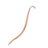 REVLON Colorstay Brow Pencil - 215 Auburn-309977643037-LR-307677-2-LR eShop