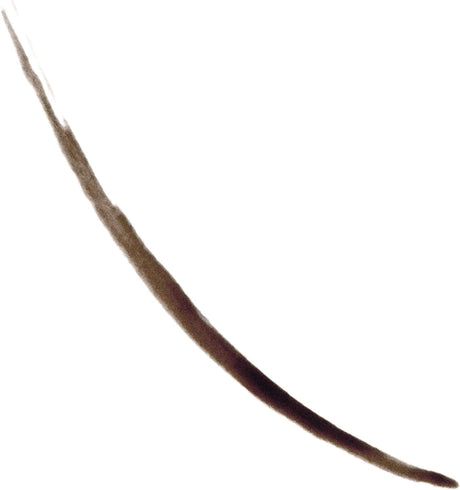 REVLON ColorStay Semi-Permanent Brow Ink - 355 Dark Brown Ink-309970174835-LR-343086-2-LR eShop