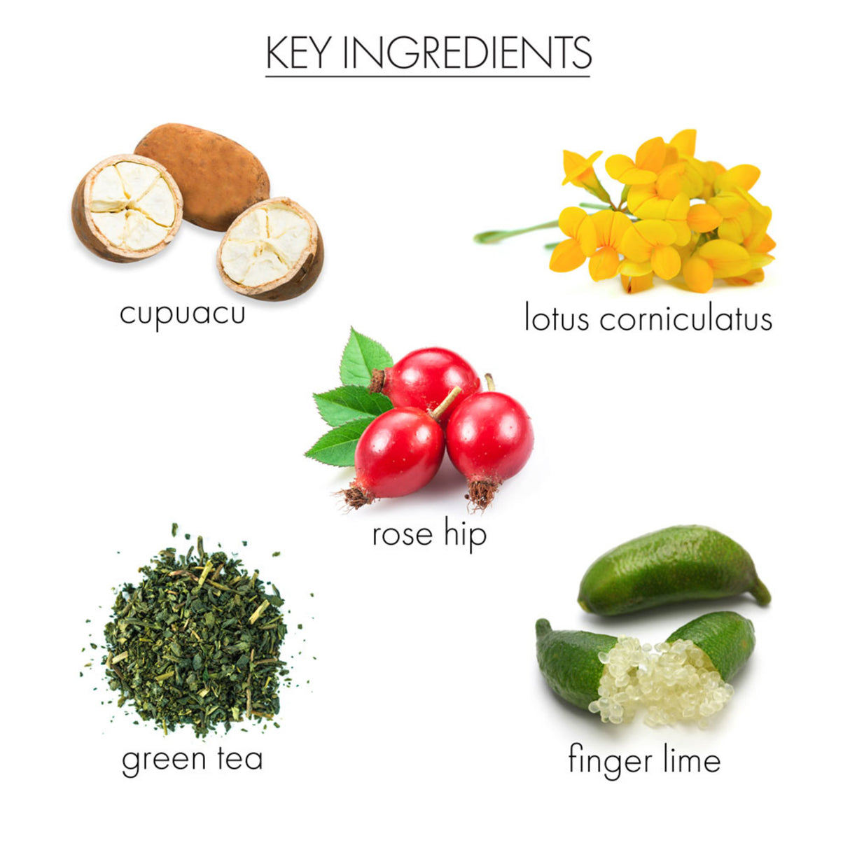 ROSE HIP LOTUS DEW MASK-812280015212-LR-351192-6-LR eShop