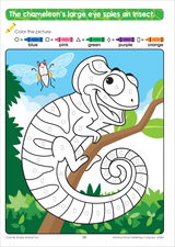 School Zone Color By Shape Animal Fun Workbook-076645022660-LR-353855-5-LR eShop