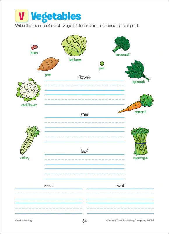 School Zone Cursive Writing Grades 3-4 Workbook-076645022523-LR-232948-5-LR eShop