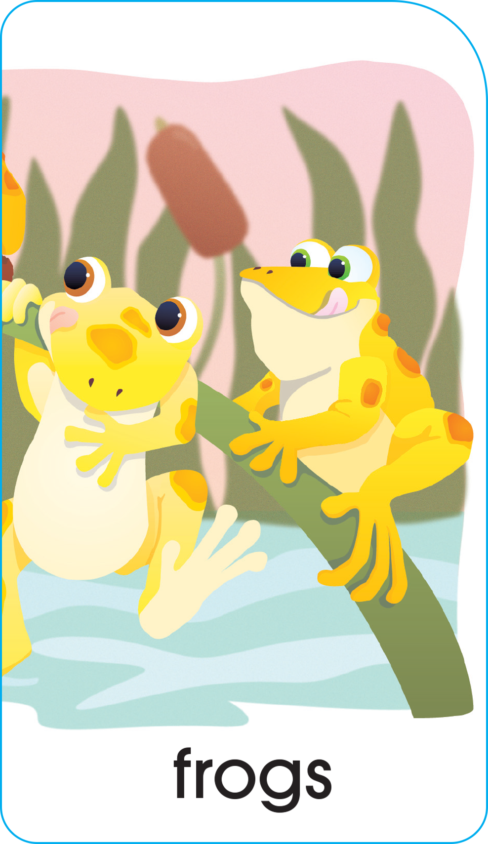 School Zone Numbers, Colors & Shapes Puzzle Cards-076645050281-LR-142354-2-LR eShop