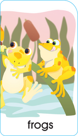 School Zone Numbers, Colors & Shapes Puzzle Cards-076645050281-LR-142354-2-LR eShop