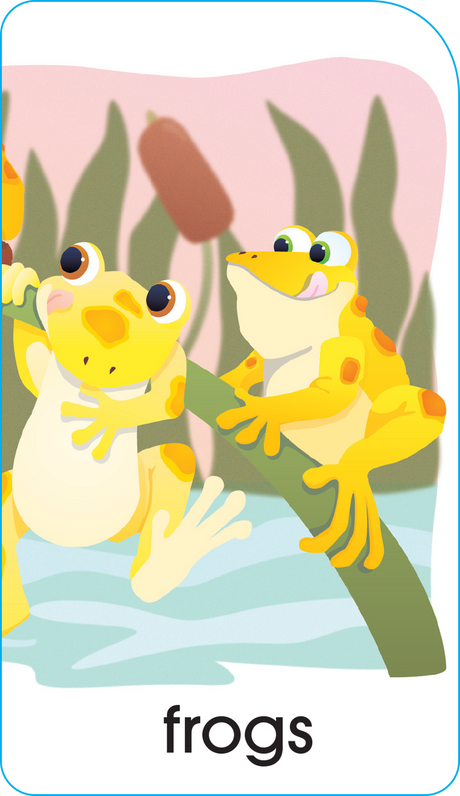 School Zone Numbers, Colors & Shapes Puzzle Cards-076645050281-LR-142354-2-LR eShop