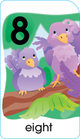 School Zone Numbers, Colors & Shapes Puzzle Cards-076645050281-LR-142354-4-LR eShop